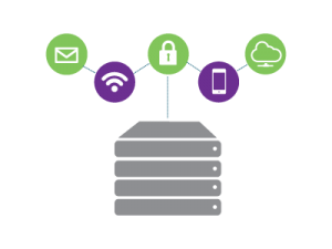 C-Stem Ruggedised IP VPN Button