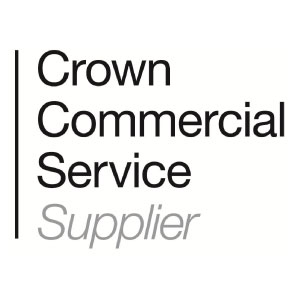 C-Stem Accreditation Crown Commercial Services